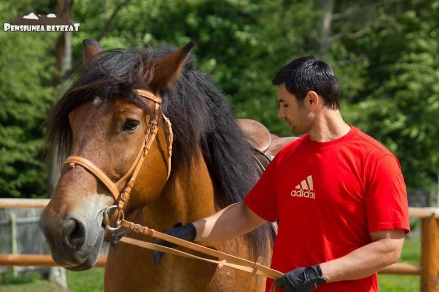 Pensiunea Retezat Campu Lui Neag Uricani  Εξωτερικό φωτογραφία